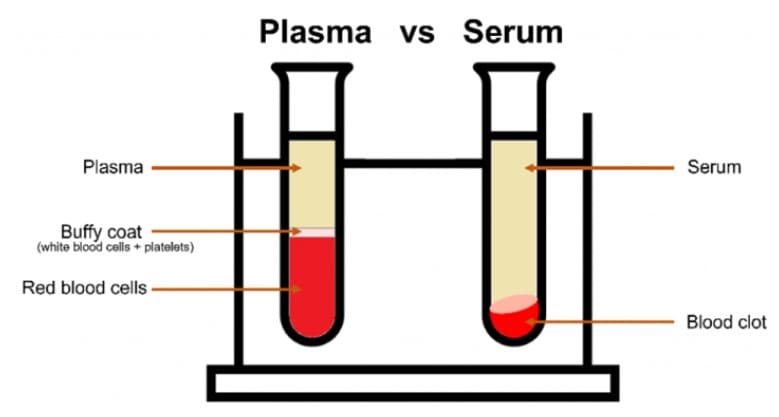 Hình 1. Huyết tương (Plasma) và Huyết thanh (Serum)